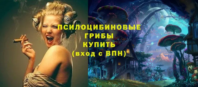 kraken ссылки  Канск  Галлюциногенные грибы Cubensis 